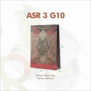 ASR 3 G10